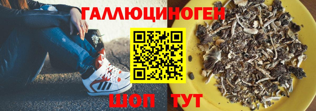 Пенза  Галлюциногенные грибы Magic Shrooms  наркота  Вход с VPN 
